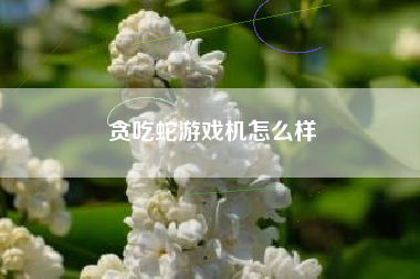 贪吃蛇游戏机怎么样