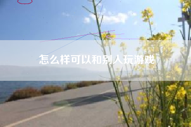 怎么样可以和别人玩游戏