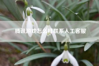 腾讯游戏怎么样联系人工客服