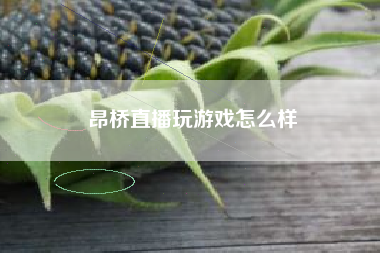 昂桥直播玩游戏怎么样