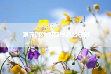 赚钱游戏的前景怎么样啊