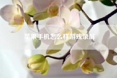 苹果手机怎么样游戏录屏