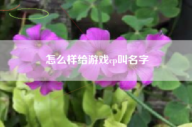 怎么样给游戏cp叫名字