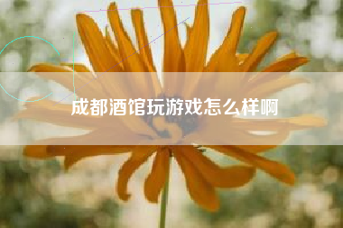 成都酒馆玩游戏怎么样啊