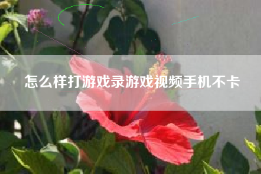 怎么样打游戏录游戏视频手机不卡