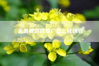 夫妻做游戏推广怎么样赚钱
