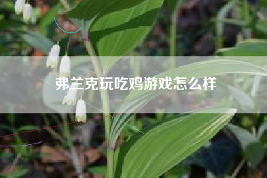 弗兰克玩吃鸡游戏怎么样