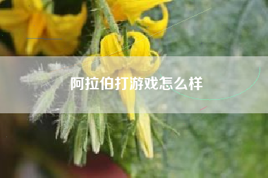 阿拉伯打游戏怎么样