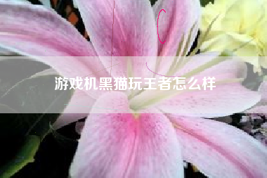 游戏机黑猫玩王者怎么样