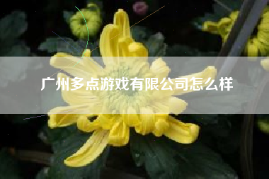 广州多点游戏有限公司怎么样