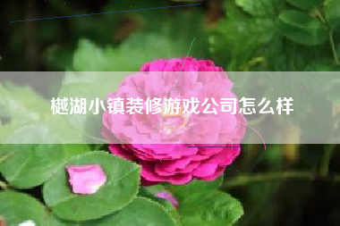 樾湖小镇装修游戏公司怎么样