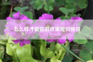 怎么样才能在游戏里碰到帅哥