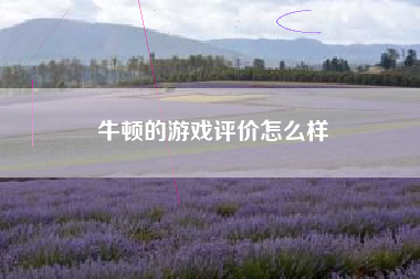 牛顿的游戏评价怎么样