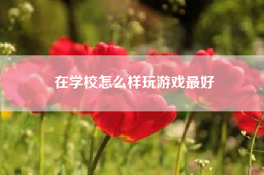 在学校怎么样玩游戏最好