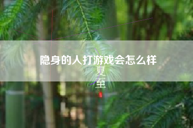 隐身的人打游戏会怎么样