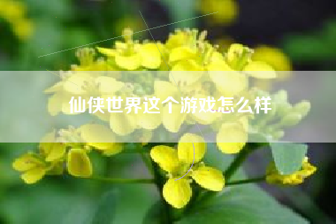 仙侠世界这个游戏怎么样