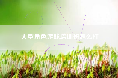 大型角色游戏培训班怎么样