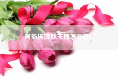 阿扬扬游戏主播怎么样了