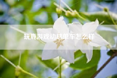 玩鹿游戏动感单车怎么样