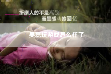 吴磊玩游戏怎么样了