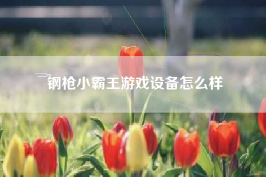 钢枪小霸王游戏设备怎么样