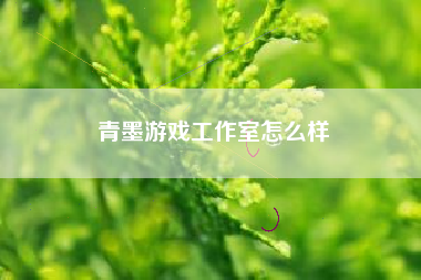 青墨游戏工作室怎么样