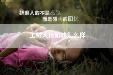 玉树人玩游戏怎么样