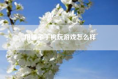 用锤子手机玩游戏怎么样