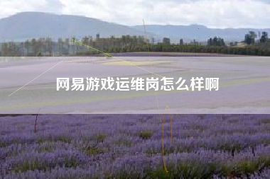 网易游戏运维岗怎么样啊