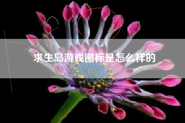 求生岛游戏图标是怎么样的