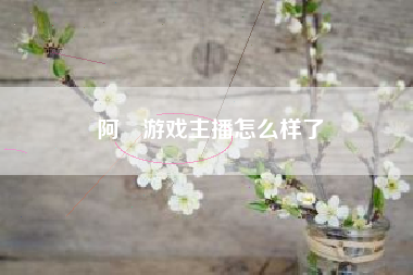阿喆游戏主播怎么样了