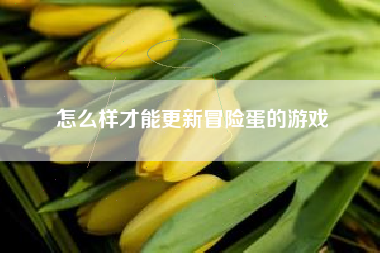 怎么样才能更新冒险蛋的游戏