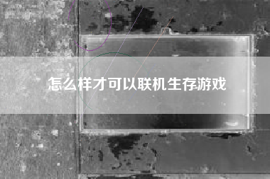 怎么样才可以联机生存游戏