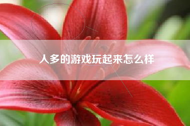 人多的游戏玩起来怎么样