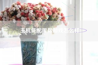 主机低配黑帮游戏怎么样