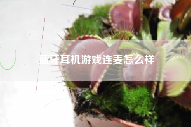 蓝牙耳机游戏连麦怎么样