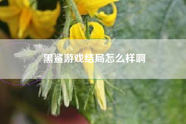 黑鲨游戏结局怎么样啊