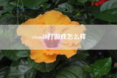 vivos10打游戏怎么样