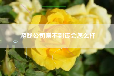 游戏公司赚不到钱会怎么样