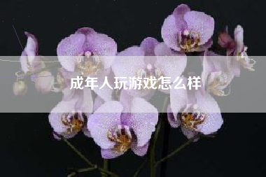 成年人玩游戏怎么样