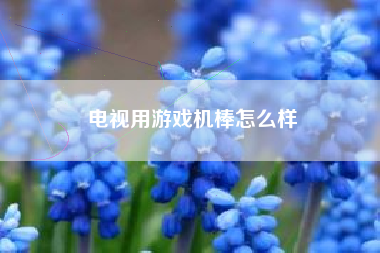 电视用游戏机棒怎么样