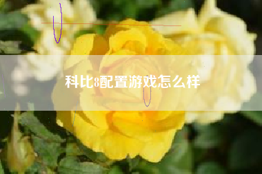 科比8配置游戏怎么样