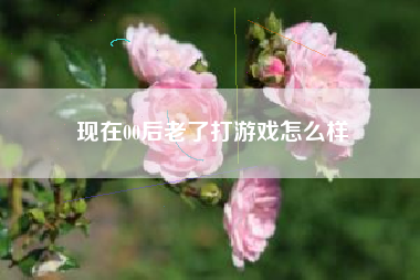 现在00后老了打游戏怎么样