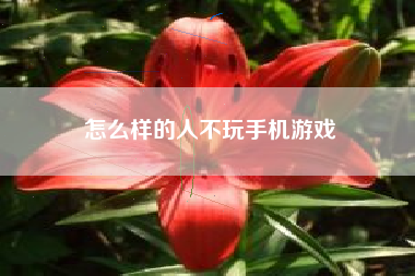 怎么样的人不玩手机游戏