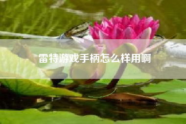 雷特游戏手柄怎么样用啊