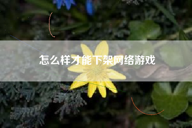 怎么样才能下架网络游戏