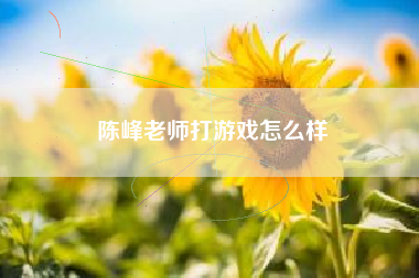 陈峰老师打游戏怎么样