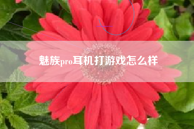 魅族pro耳机打游戏怎么样