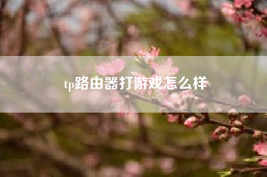 tp路由器打游戏怎么样
