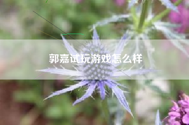 郭嘉试玩游戏怎么样